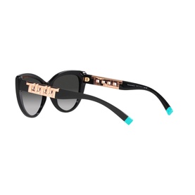 Cat Eye Sunglasses TF4196