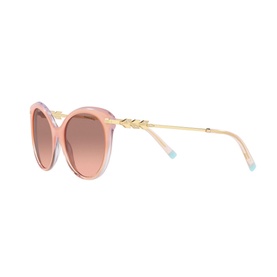Cat Eye Sunglasses TF4189B