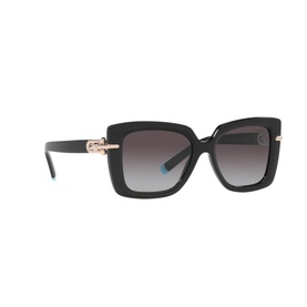 Butterfly Sunglasses TF4199