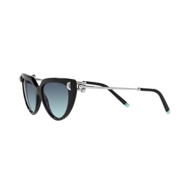 Cat Eye Sunglasses TF4195
