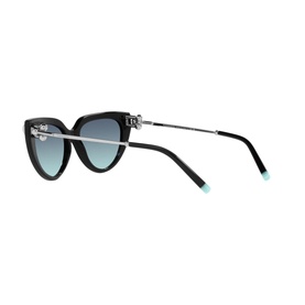 Cat Eye Sunglasses TF4195