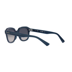 Square Sunglasses RB4398