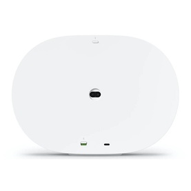 Era 300 Multiroom Speaker