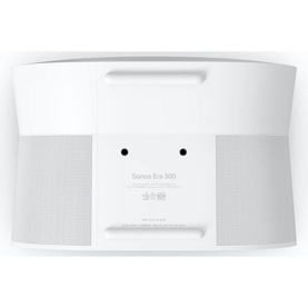Era 300 Multiroom Speaker