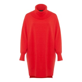 Cecilia Roll Neck Knit Dress