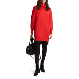 Cecilia Roll Neck Knit Dress