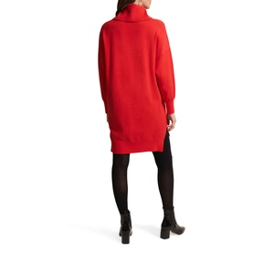 Cecilia Roll Neck Knit Dress