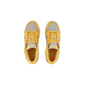 Dunk Low Trainers