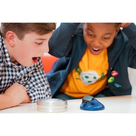 Tidal Wave Thinking Putty