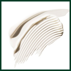 Colour Control Leave-In Treatment Rich
