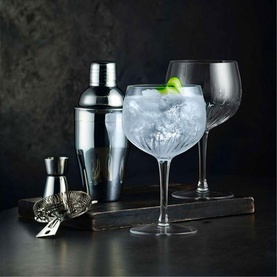 Gin Glass Set of Two