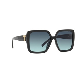 Square Sunglasses TF4206U