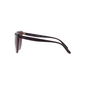Cat Eye Sunglasses VO5484S