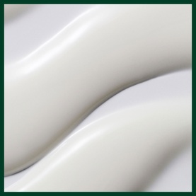 Nutriplenish&trade; Replenishing Overnight Serum 