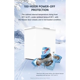 142L 635MM Wide Chest Freezer PowerPoint