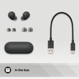 WF-C700 Black True Wireless ANC Buds