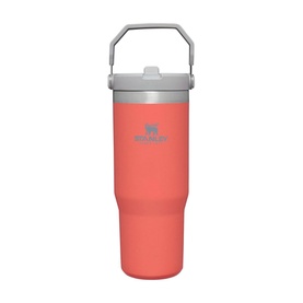 The Guava Classic IceFlow&trade; Flip Straw Tumbler 0.89L