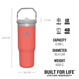 The Guava Classic IceFlow&trade; Flip Straw Tumbler 0.89L
