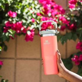 The Guava Classic IceFlow&trade; Flip Straw Tumbler 0.89L
