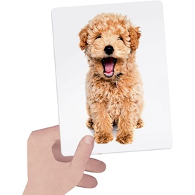 Montessori Tactile Flashcards