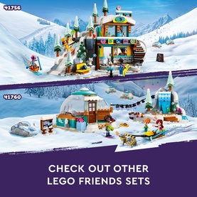 Friends Holiday Ski Slope and Caf&eacute;