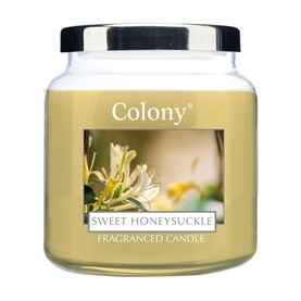 Colony Sweet Honeysuckle Medium Candle