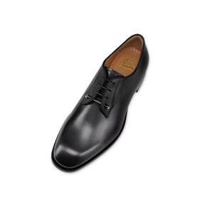 Chambeliss Calf Leather Derby Shoes