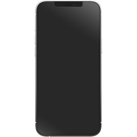 iPhone 12 Pro Max Screen Protector