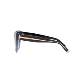Cat Eye Sunglasses TF4186