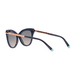 Cat Eye Sunglasses TF4182