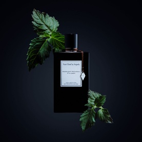 Moonlight Patchouli Eau de Parfum