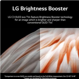 55" 4K C3 OLED evo Smart TV