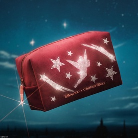 Disney Makeup Bag