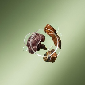 Mega Mushroom Fortifying Emulsion