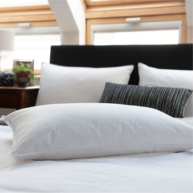 Duck Down Pillow