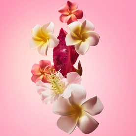 Beija Flor Elasti-Cream