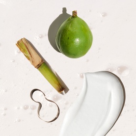 Sol De Janeiro Beija Flor Body Wash ingredients flatlay featuring green mango, lemongrass stem, and a cream texture swatch on white surface.