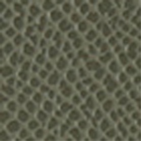 Frame Cross Body Bag