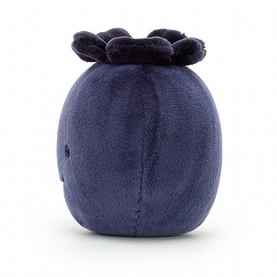 Fabulous Fruit Blueberry 9cm