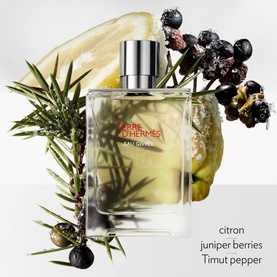 Terre d&rsquo;Herm&egrave;s Eau Givr&eacute;e Eau de Parfum