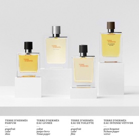Terre d&rsquo;Herm&egrave;s Eau Givr&eacute;e Eau de Parfum