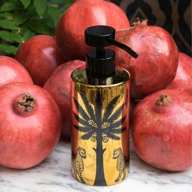 Aqua Soap Dispenser