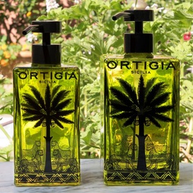 Aqua Soap Dispenser