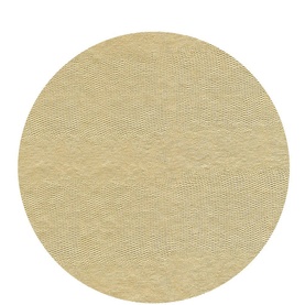 Lizard Round Placemat