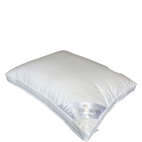 Sovereign Firm Pillow