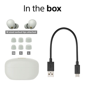 WF1000XM5 Silver TW ANC Buds
