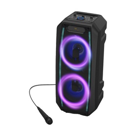 Portable Party Speaker with Mic