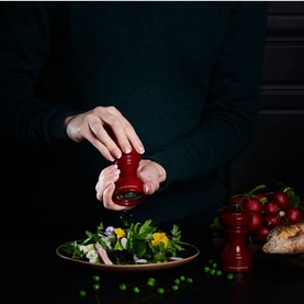 Hoxton Salt Mill Red Gloss 10.4cm