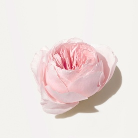 Light Rose&trade; Moisturising Hand Cream