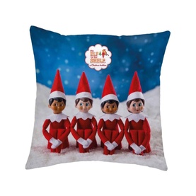 Niceometer Cushion